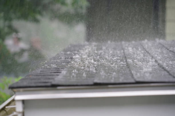 Best Chimney Flashing Repair  in Winona, MS